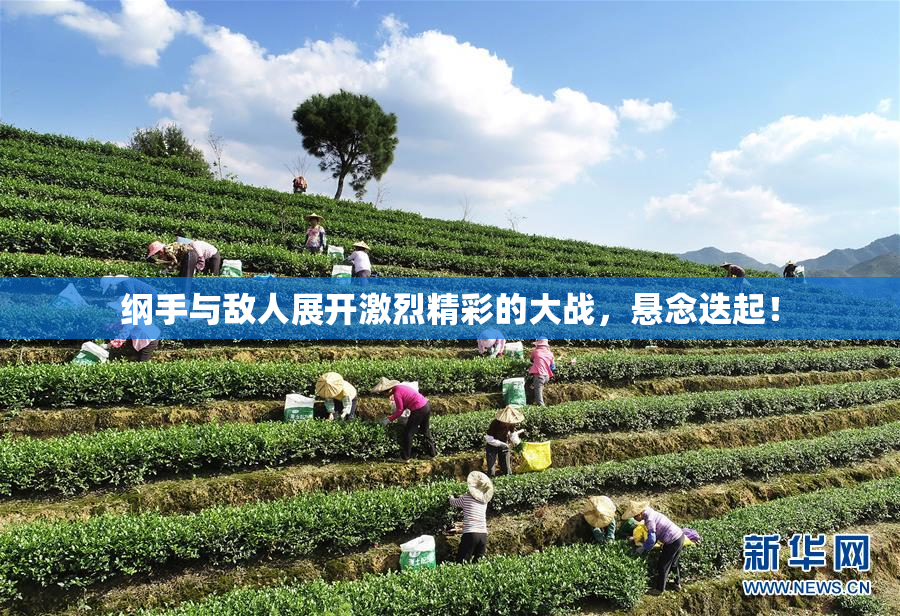 纲手与敌人展开激烈精彩的大战，悬念迭起！