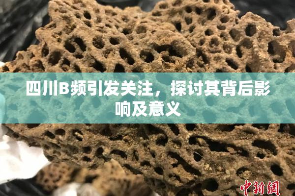 四川B频引发关注，探讨其背后影响及意义