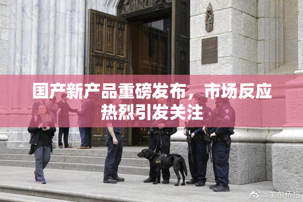 国产新产品重磅发布，市场反应热烈引发关注