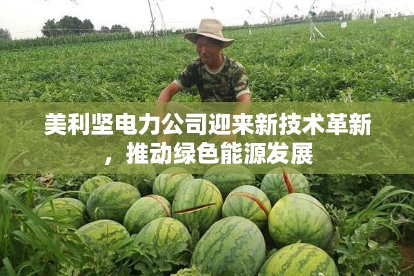 美利坚电力公司迎来新技术革新，推动绿色能源发展