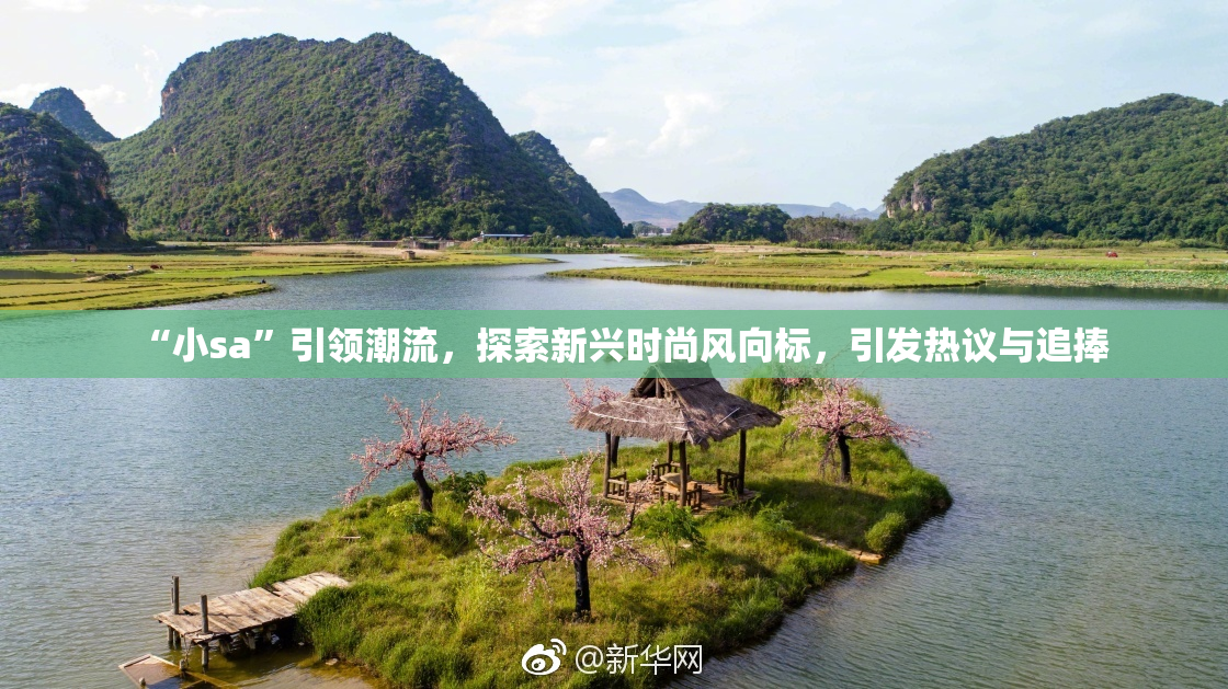“小sa”引领潮流，探索新兴时尚风向标，引发热议与追捧