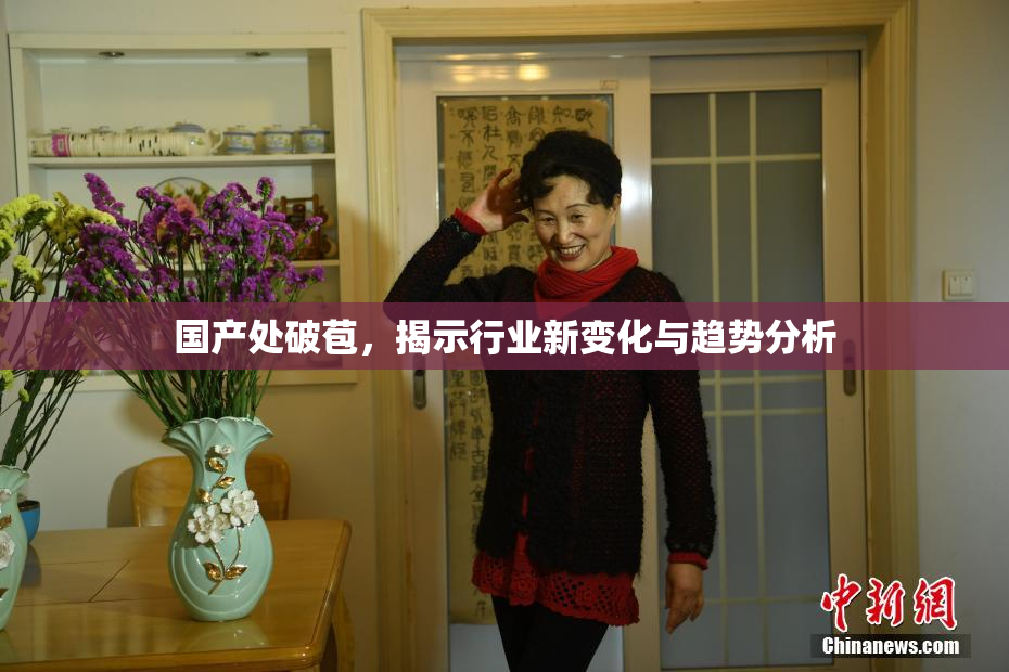 国产处破苞，揭示行业新变化与趋势分析