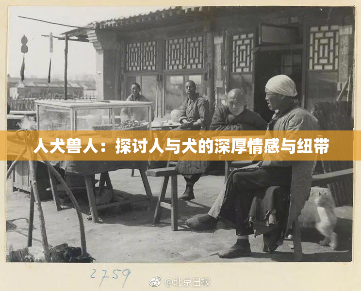 人犬兽人：探讨人与犬的深厚情感与纽带