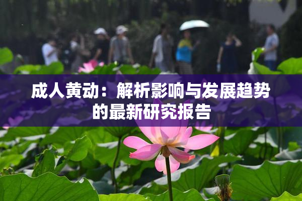 成人黄动：解析影响与发展趋势的最新研究报告
