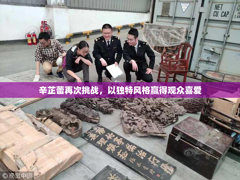 辛芷蕾再次挑战，以独特风格赢得观众喜爱
