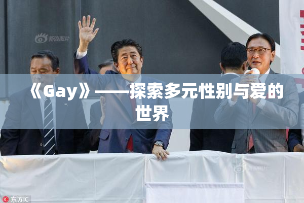 《Gay》——探索多元性别与爱的世界