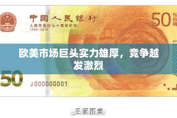 欧美市场巨头实力雄厚，竞争越发激烈