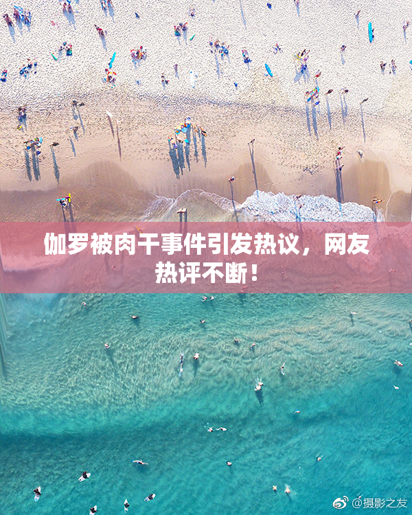 伽罗被肉干事件引发热议，网友热评不断！