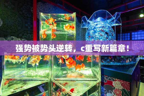 强势被势头逆转，c重写新篇章！