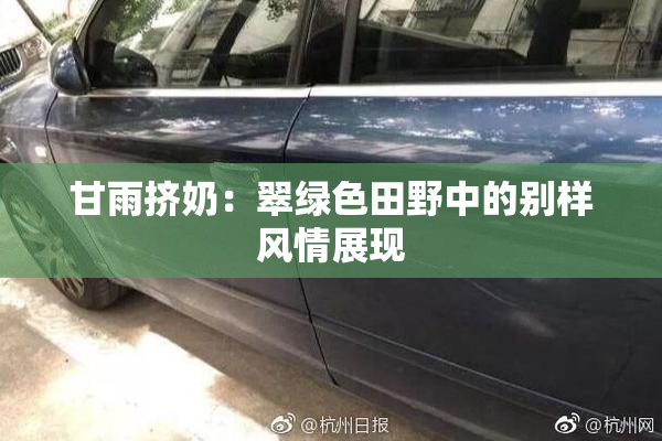 甘雨挤奶：翠绿色田野中的别样风情展现