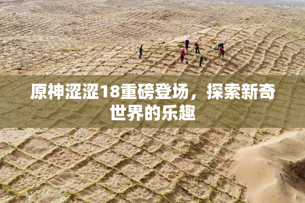 原神涩涩18重磅登场，探索新奇世界的乐趣