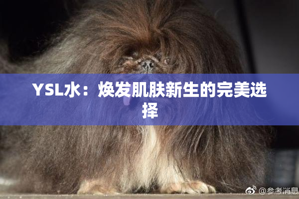 YSL水：焕发肌肤新生的完美选择
