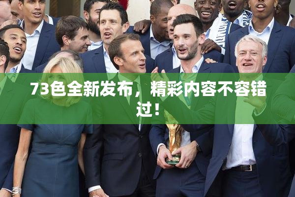 73色全新发布，精彩内容不容错过！