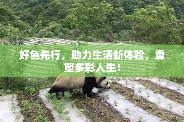 好色先行，助力生活新体验，重塑多彩人生！