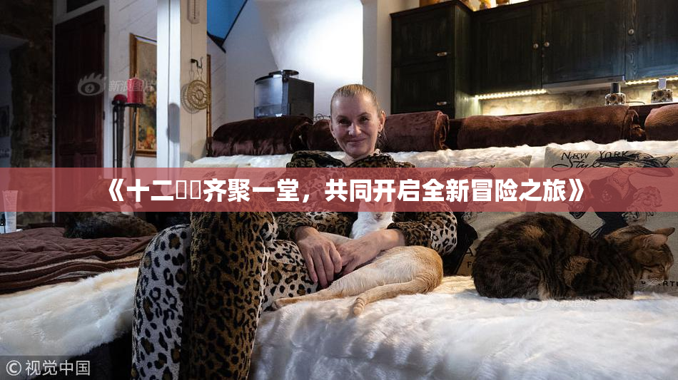 《十二妺妺齐聚一堂，共同开启全新冒险之旅》