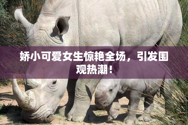 娇小可爱女生惊艳全场，引发围观热潮！