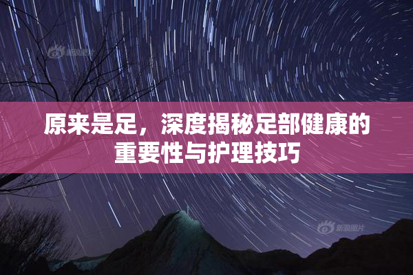 原来是足，深度揭秘足部健康的重要性与护理技巧