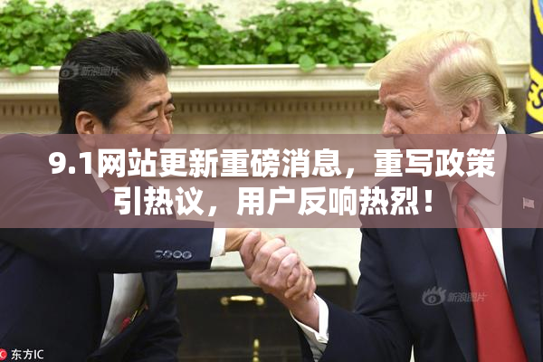 9.1网站更新重磅消息，重写政策引热议，用户反响热烈！