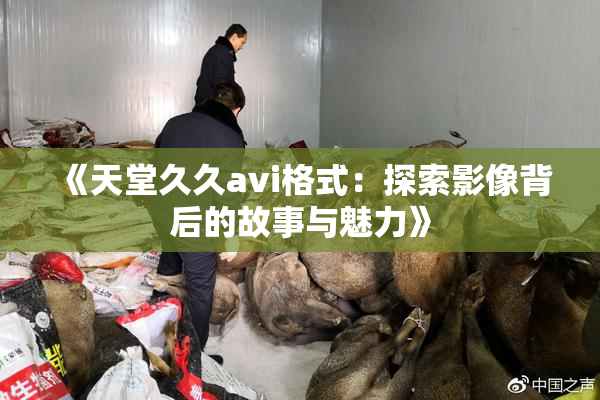 《天堂久久avi格式：探索影像背后的故事与魅力》