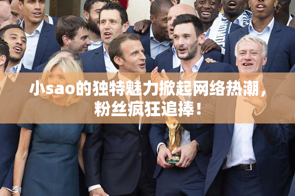 小sao的独特魅力掀起网络热潮，粉丝疯狂追捧！