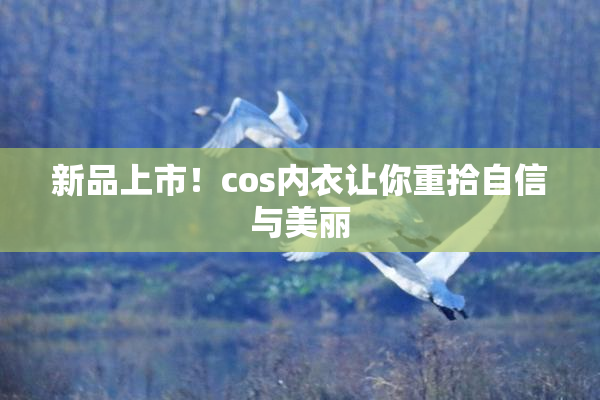 新品上市！cos内衣让你重拾自信与美丽