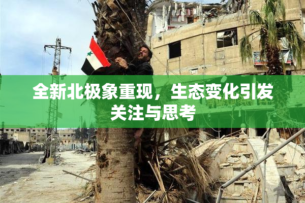 全新北极象重现，生态变化引发关注与思考