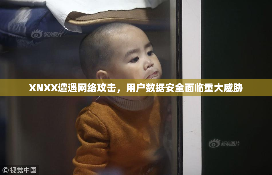 XNXX遭遇网络攻击，用户数据安全面临重大威胁