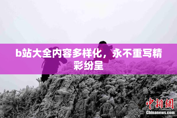 b站大全内容多样化，永不重写精彩纷呈