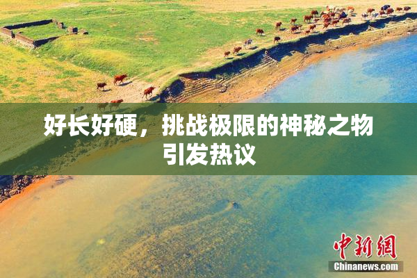好长好硬，挑战极限的神秘之物引发热议