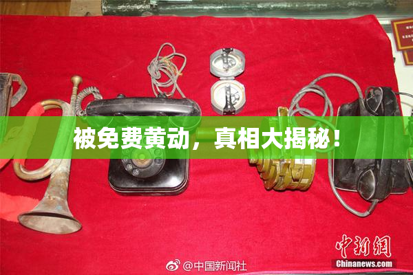 被免费黄动，真相大揭秘！