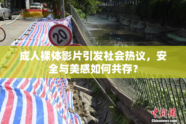 成人裸体影片引发社会热议，安全与美感如何共存？
