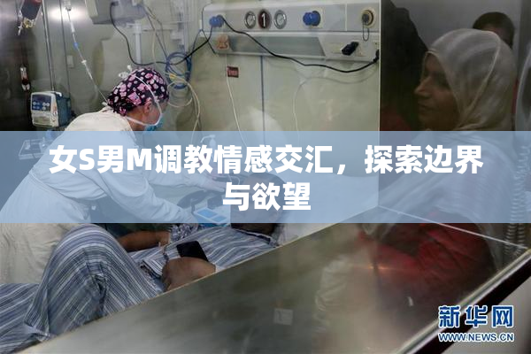 女S男M调教情感交汇，探索边界与欲望