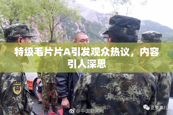 特级毛片片A引发观众热议，内容引人深思