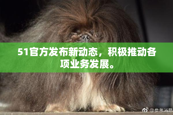51官方发布新动态，积极推动各项业务发展。