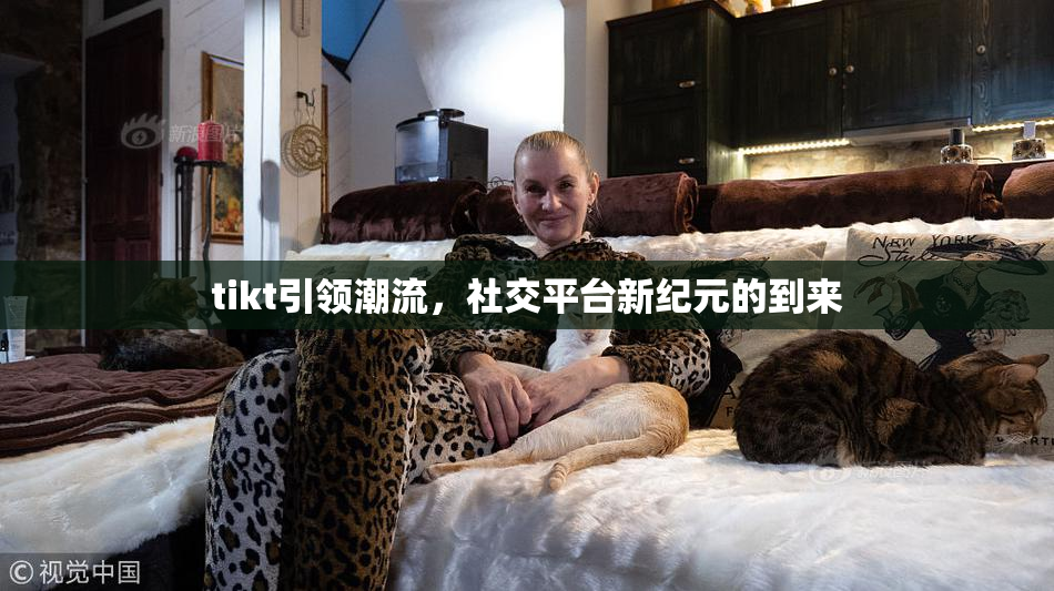 tikt引领潮流，社交平台新纪元的到来