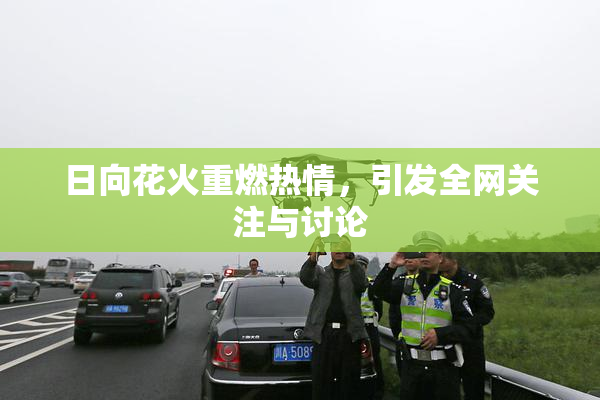 日向花火重燃热情，引发全网关注与讨论