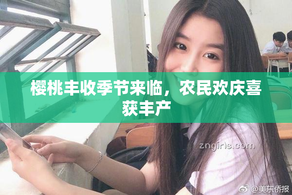 樱桃丰收季节来临，农民欢庆喜获丰产