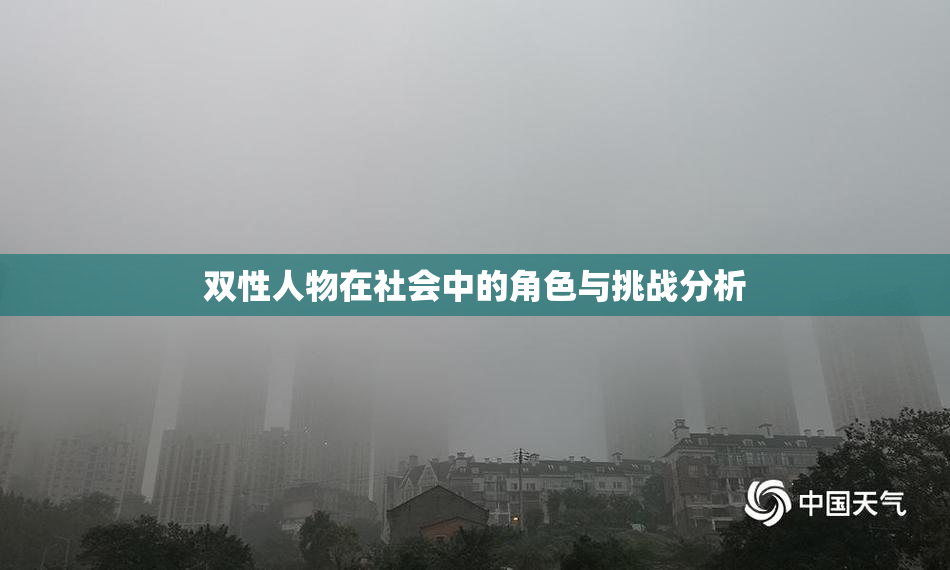 双性人物在社会中的角色与挑战分析