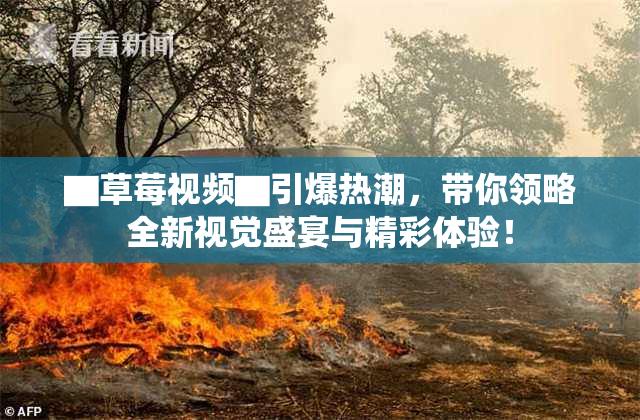 ▇草莓视频▇引爆热潮，带你领略全新视觉盛宴与精彩体验！