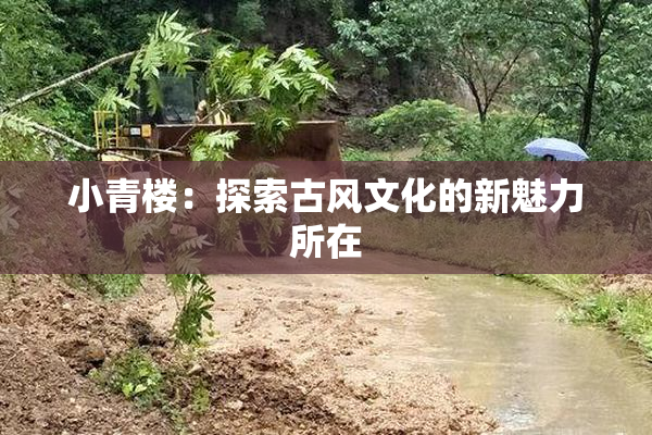 小青楼：探索古风文化的新魅力所在