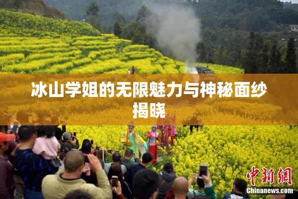 冰山学姐的无限魅力与神秘面纱揭晓