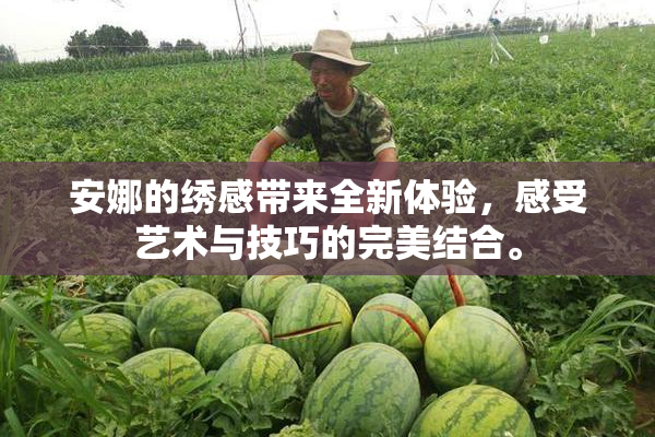 安娜的绣感带来全新体验，感受艺术与技巧的完美结合。