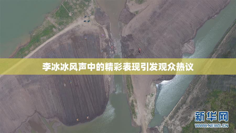 李冰冰风声中的精彩表现引发观众热议