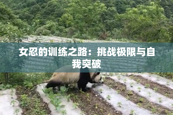 女忍的训练之路：挑战极限与自我突破