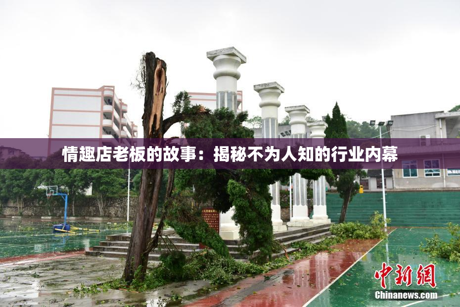 情趣店老板的故事：揭秘不为人知的行业内幕