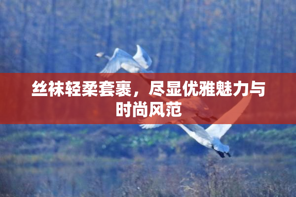 丝袜轻柔套裹，尽显优雅魅力与时尚风范