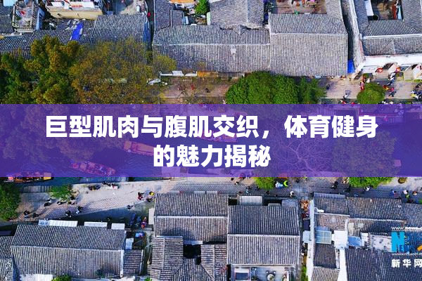 巨型肌肉与腹肌交织，体育健身的魅力揭秘