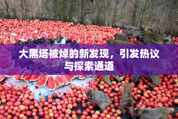 大黑塔被焯的新发现，引发热议与探索通道