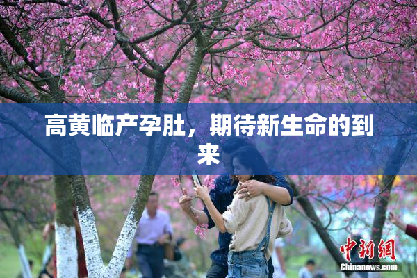 高黄临产孕肚，期待新生命的到来