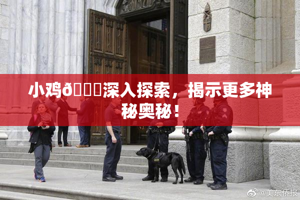 小鸡🐔深入探索，揭示更多神秘奥秘！